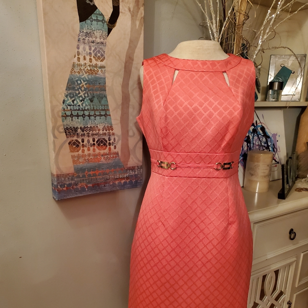 Coral Colored Dress...size 4P